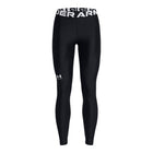 Under Armour HG legginsit